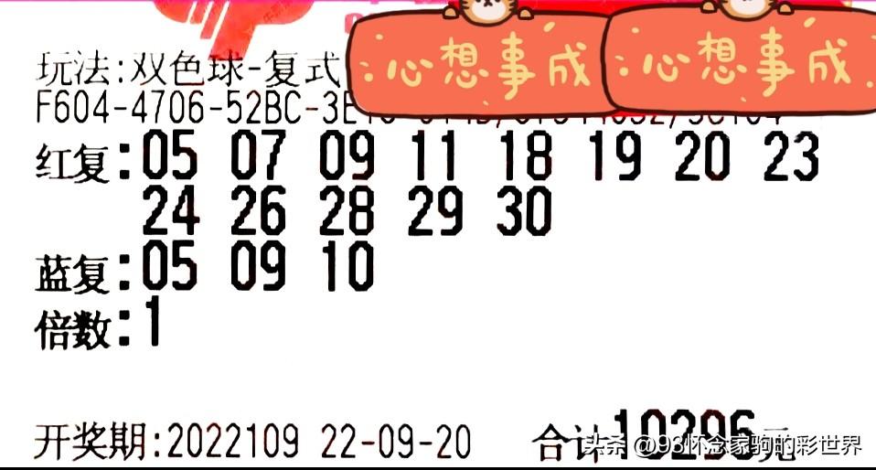 28期双色球开奖结果，梦想与幸运的碰撞