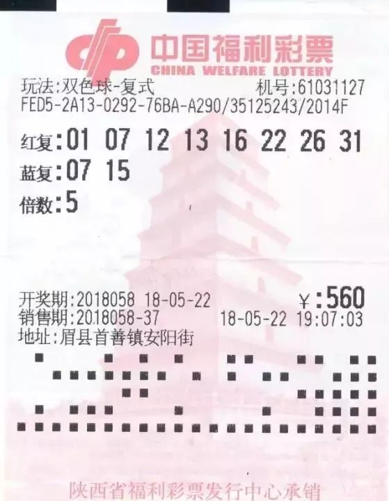2013年双色球第65期开奖结果揭晓，幸运数字背后的故事与期待