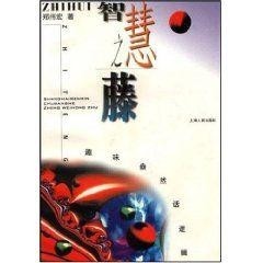 欧阳小文的最新字谜2，智慧与趣味的完美碰撞