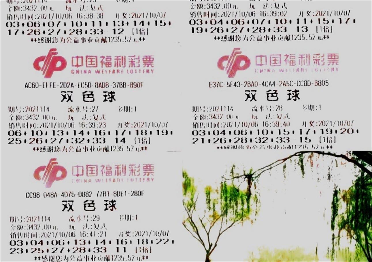 2046年，双色球开奖的奇幻之旅——记第3期梦想与奇迹