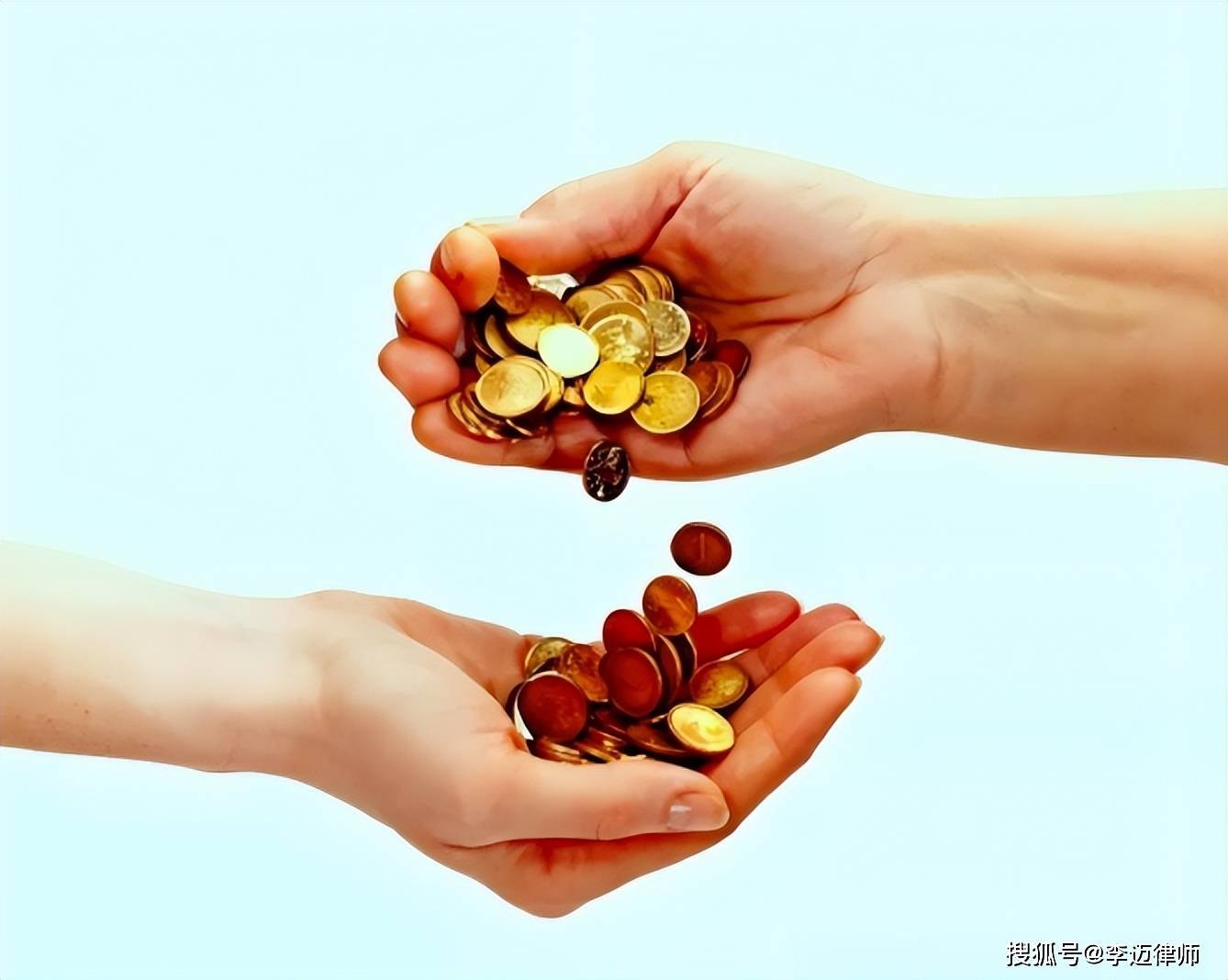 水果专题 第281页