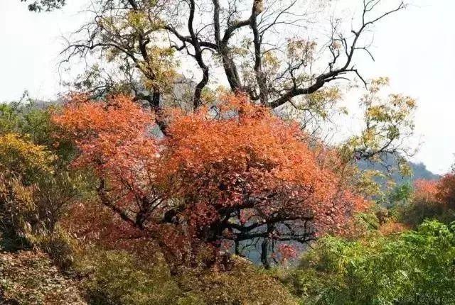 燕赵风采排列7，解锁幸运密码的趣味指南