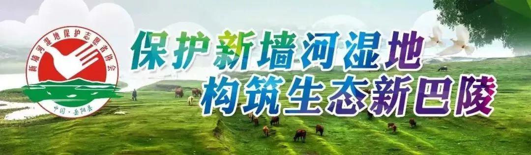 500万收入，你需要缴纳多少税？