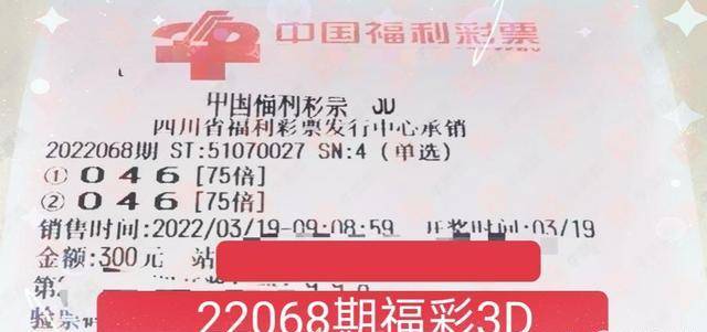 彩票投注，梦想与概率的微妙平衡