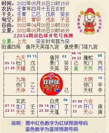 专家视角