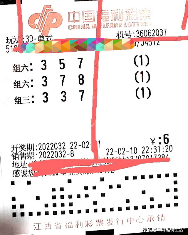 排列三开奖结果3D，揭秘数字游戏的魅力与策略
