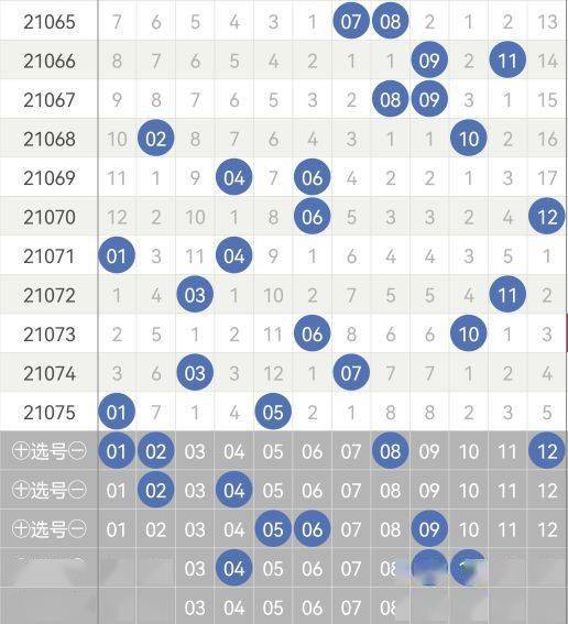10月3日，揭秘体彩七位数的魅力与期待——以第245期开奖号码为例