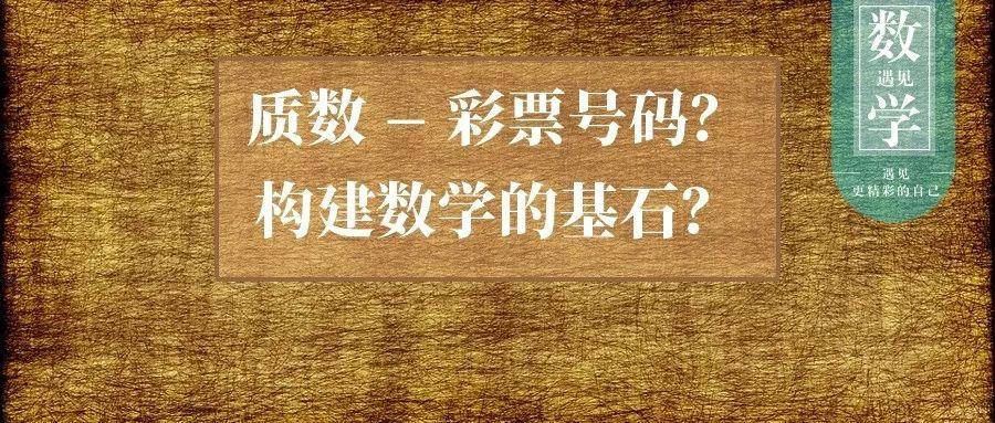 彩票信息透明，公众信任的基石