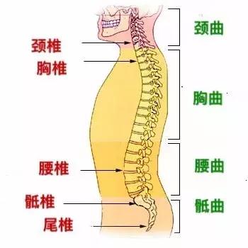 藏宝图 第261页