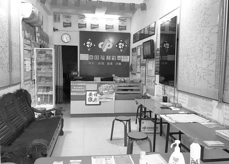 2013年双色球第4期开奖揭秘，历史回顾与数据分析