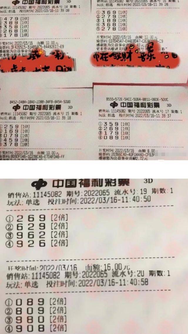 3D机选一注，新浪彩票的幸运之旅