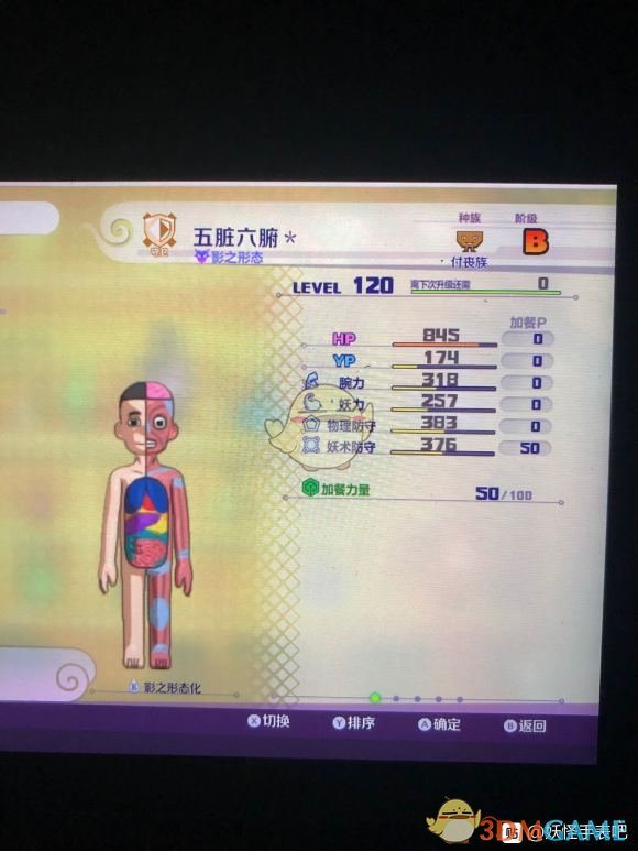 探索3D试机号金码的奥秘，揭秘数字背后的智慧