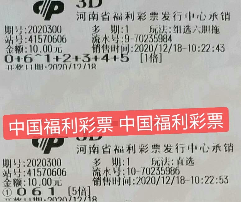 今天的福利彩票3D预测，揭秘数字背后的奥秘
