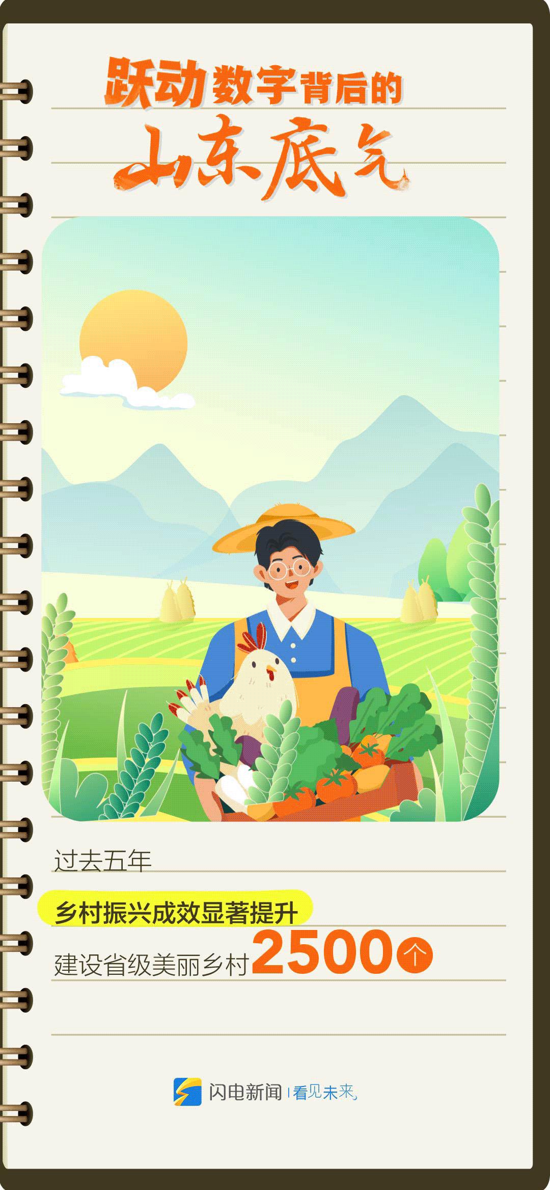 福利彩票3D预测大师，揭秘数字背后的玄机