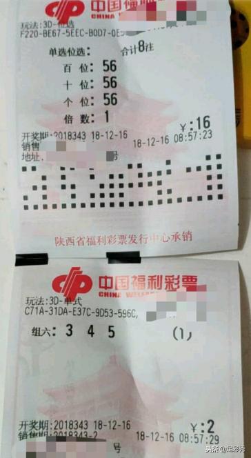 今日3D开机号与双色球试机号的查询结果分析