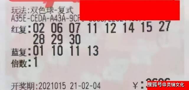 探索香港六合彩的神秘世界，揭秘码开奖结果香港码开奖结果查询结果