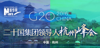 杭州12选5，数字背后的幸运与期待