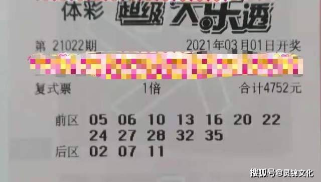 探索双色球第24130期的神秘魅力，票面欣赏与购彩心得