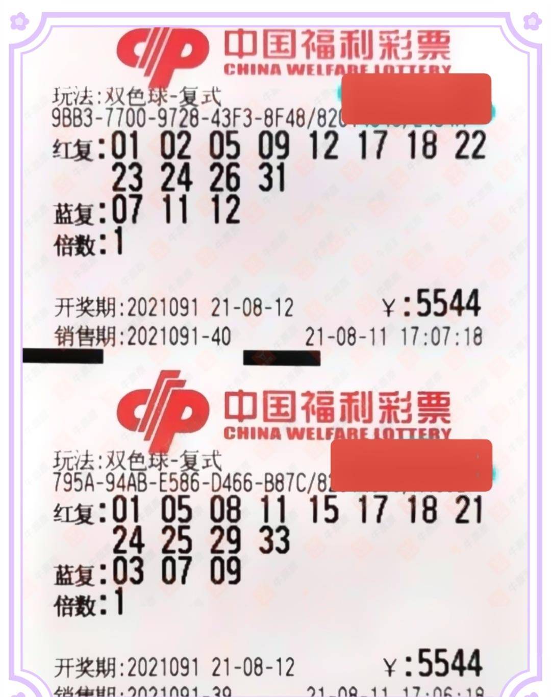 探寻新奥全部开奖记录，透明与公正的承诺新澳历史开奖记录查询结果