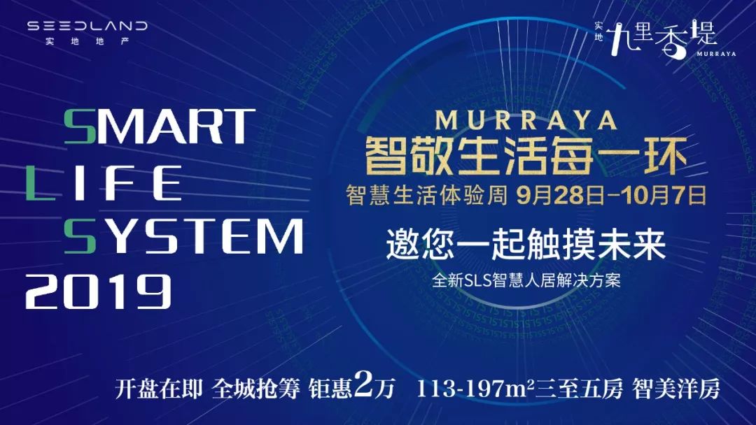 探索3D中国彩吧图谜，一场视觉与智慧的盛宴
