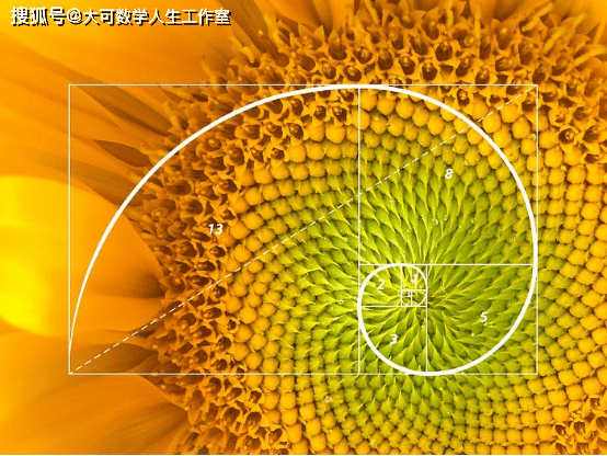 斐波那契彩票公式，解锁数字游戏中的隐藏规律