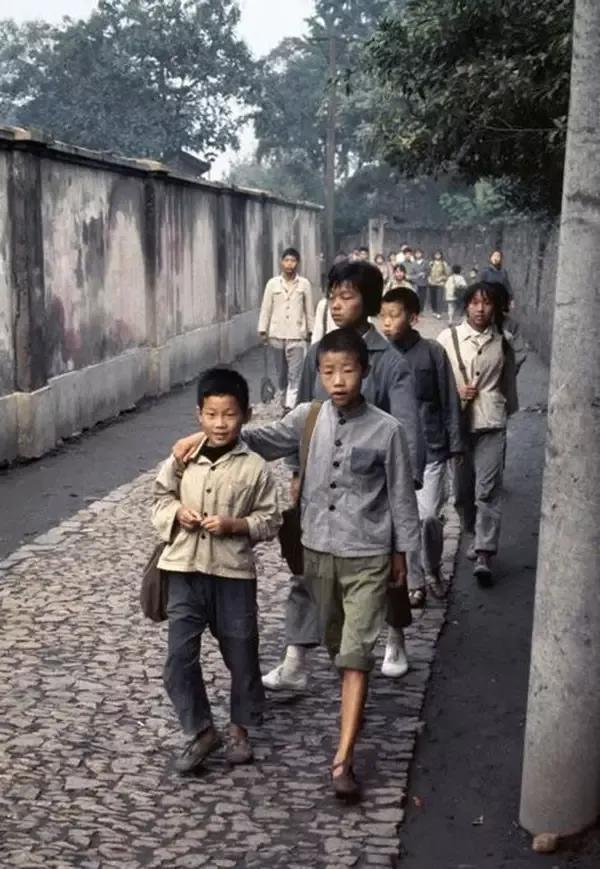 哪个图库网站最好？——全面解析与推荐