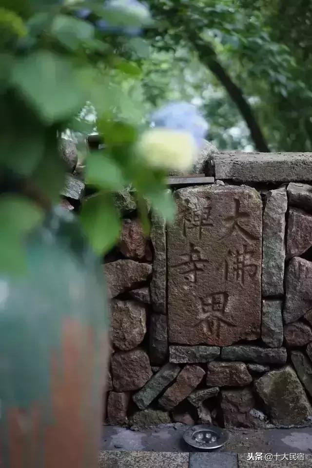 十五选五复式投注的智慧与策略，价格表解析