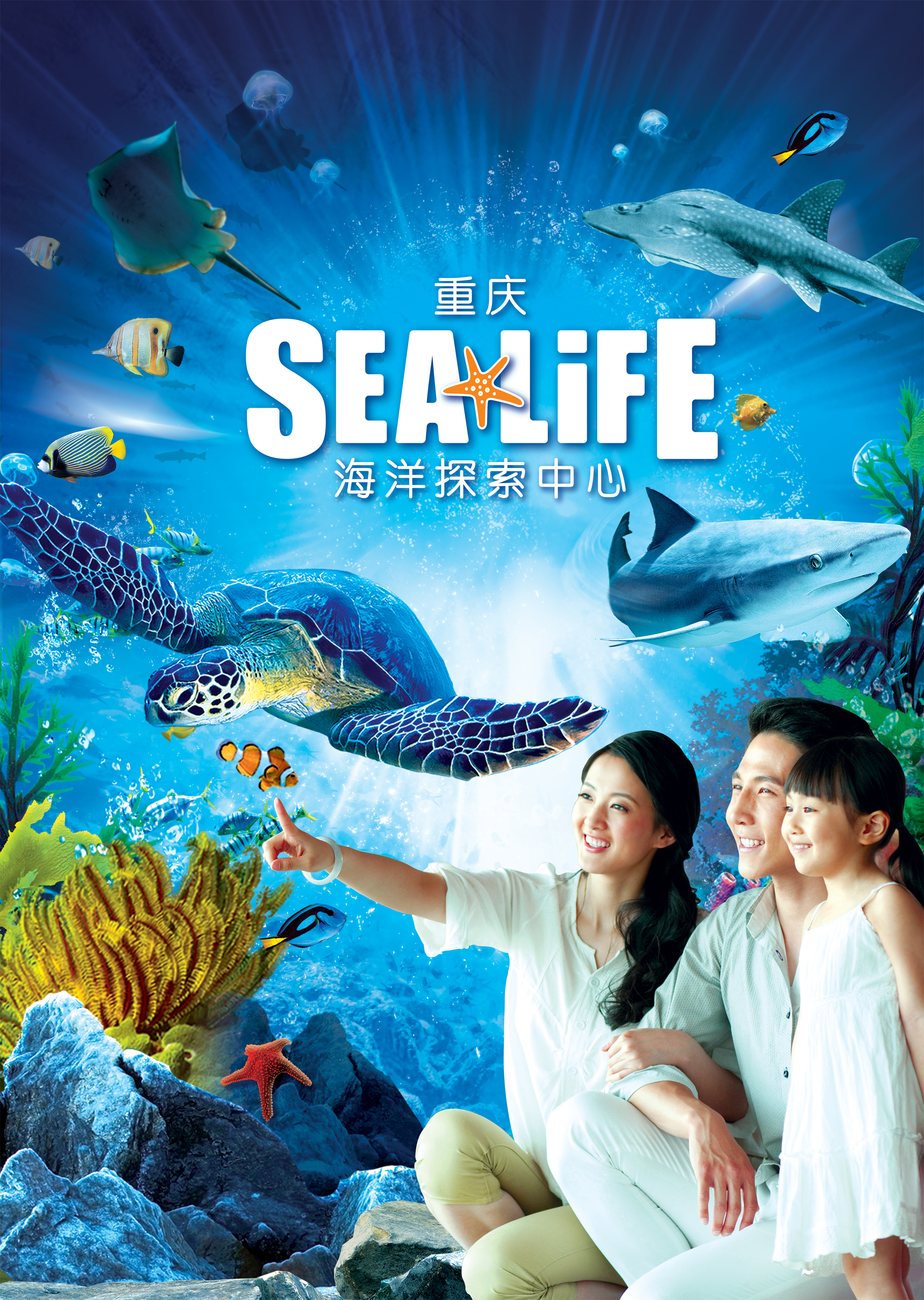 探索知识海洋，正版资料大全的无限魅力正版资料大全完整版