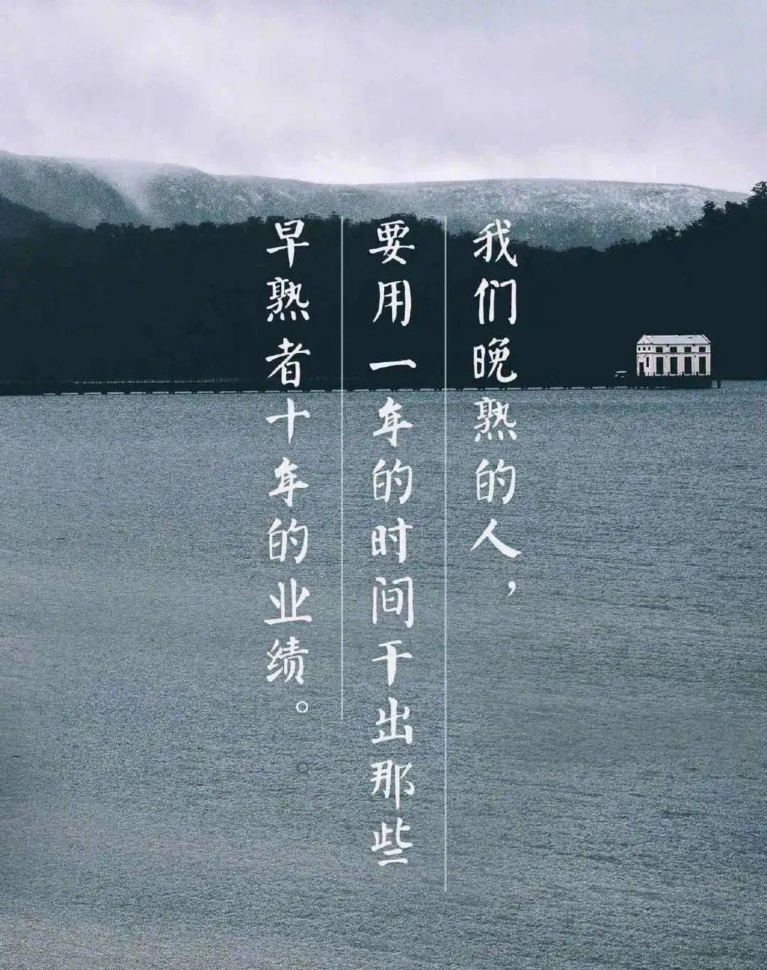 今晚买四不像，一场关于幸运与智慧的奇妙邃夜之旅今晚买四不像生肖是什么动物