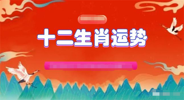 探索一码与生肖的奥秘，103准资料应用一肖一码1oo准