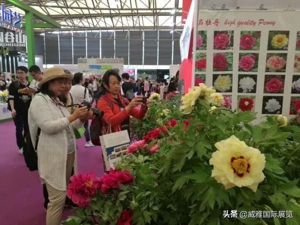 管家婆203年正版资料，重塑企业管理的未来2021年管家婆彩图大全