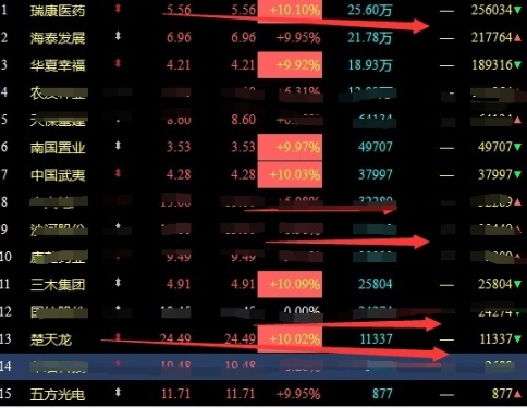 揭秘香港王中王的奥秘，全面解析与免费资料指南大公开！香港王中王资料大全免费雨消有哪几个生消