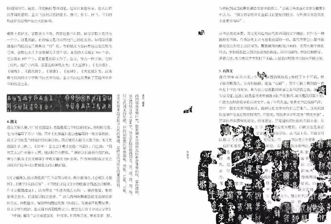 探索BBS89的魅力与影响—一个在线社区如何塑造网络文化