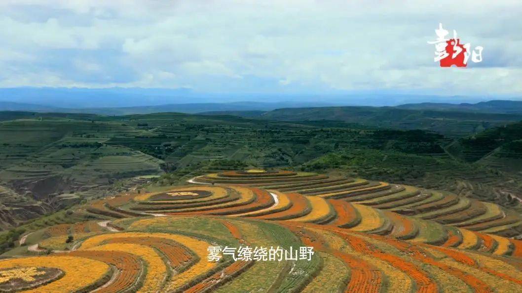 彭阳，黄土高原上的绿色奇迹彭阳县