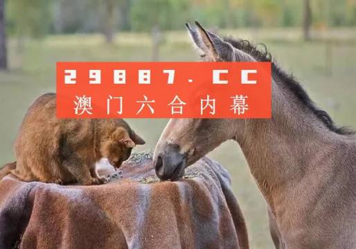 澳门一肖与精准预测，探索背后的奥秘澳门一肖一码澳门跑狗
