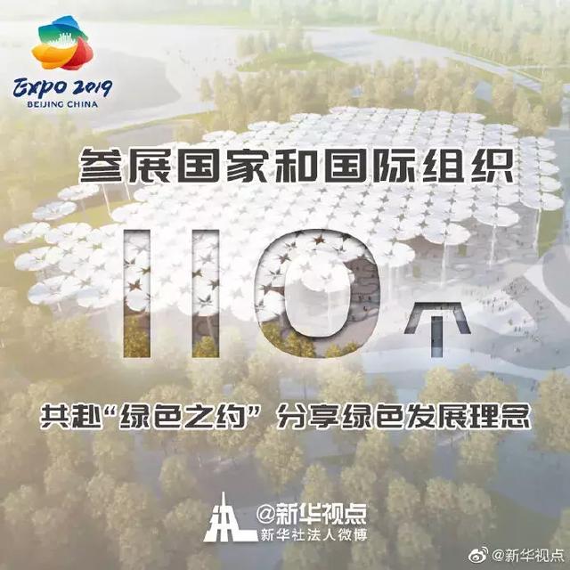 2035年澳门天天彩，数字与梦想的交织2023年澳门天天彩开奖记录王欣婷