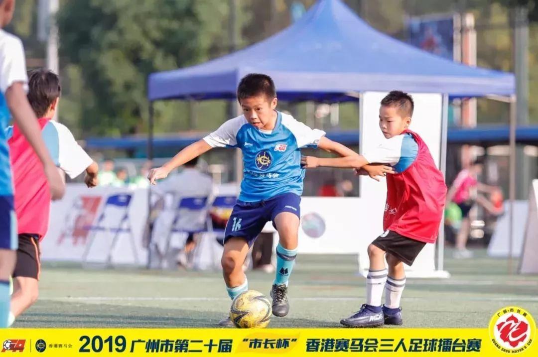 探索香港马会资料大全2019，历史、成就与未来展望