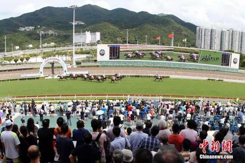 2019香港马会资料大全免费，探索赛马的魅力与文化深度香港2021年马会资料大全