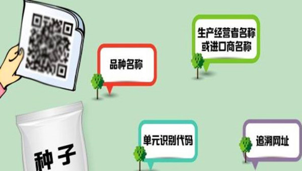 探秘管家婆一码与白蛇图坛，传统智慧在现代的融合