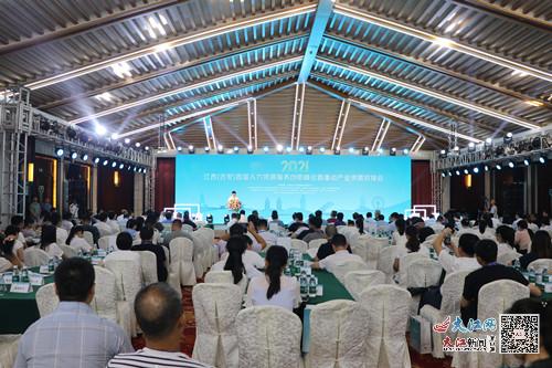 江西泰和在线论坛，搭建地方交流的数字桥梁江西泰和新闻网