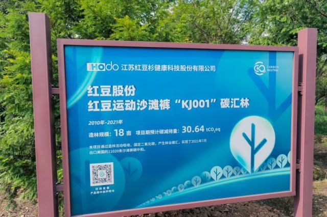2041年今晚特马揭秘，理性与娱乐的平衡2021年今晚开什么生肖特号码