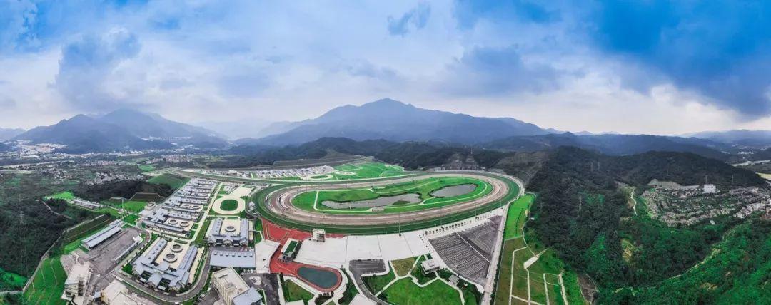 2019年马会正版香港资料大全，揭秘赛马的魅力与智慧马会正版香港资料大全一小