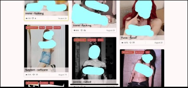 探秘红姐聊天室，网络社交新风尚的温馨角落红姐聊天室信誉怎么样