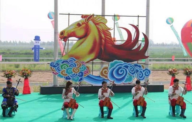 探秘香港马会现场开奖，一场精彩绝伦的赛事盛宴香 港 马 会 开 奖 结 果