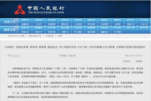 探索新澳天天彩，正版免费资料的魅力与风险2025新澳天天彩资料大全最新版本