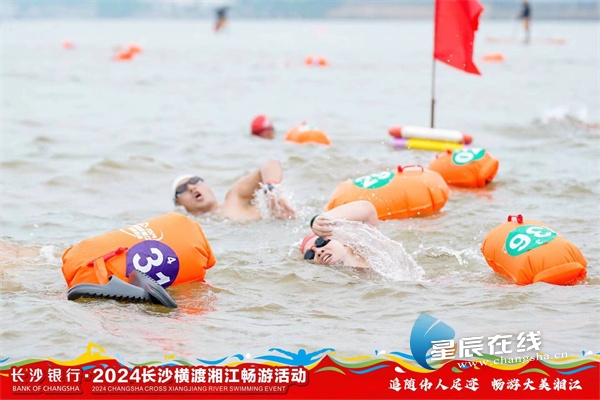 探秘马会，传统与现代交织的独特魅力马会游泳吗