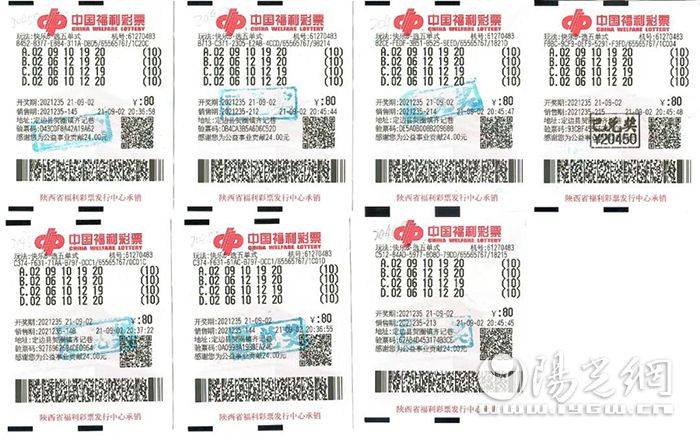 彩库网，探索数字彩票的奥秘与乐趣彩库网353563:acm
