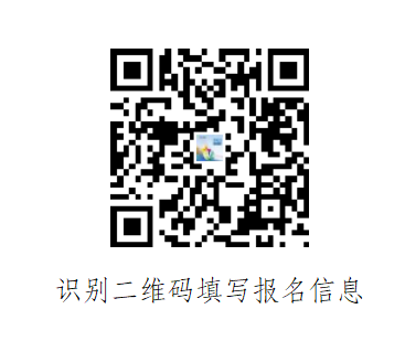 淘码论坛，数字时代的交流新阵地淘码论坛高手
