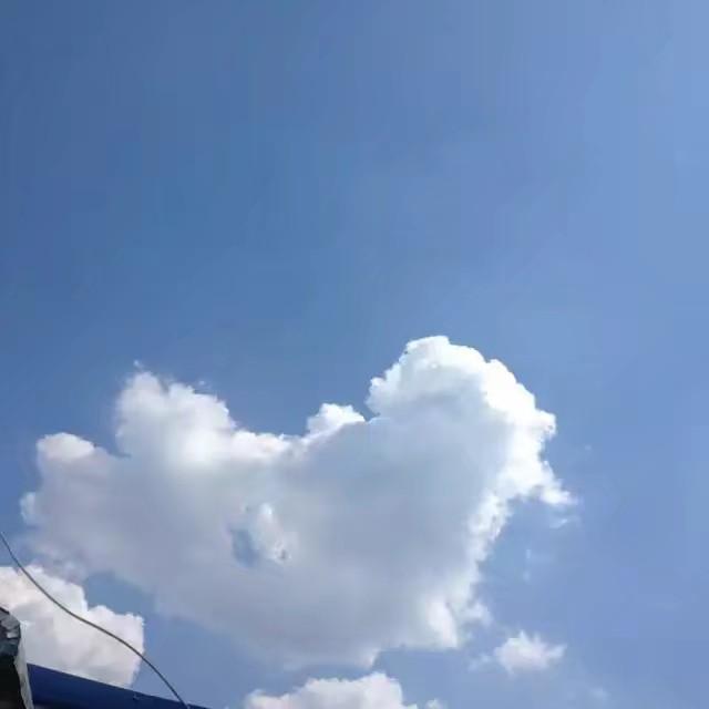 天下彩天空彩票，与你同行的奇幻之旅天下彩天空彩票与你同行app-手机端下载
