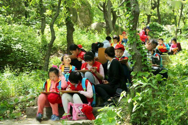 探索澳门，免费资料大全的奇妙之旅打开澳门免费资料大全2024